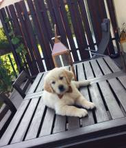 78b1deea2b4db543dacb274fc40ef940_184x215