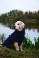 78c70eeb160ab3747d946dccd3c03631_164x246