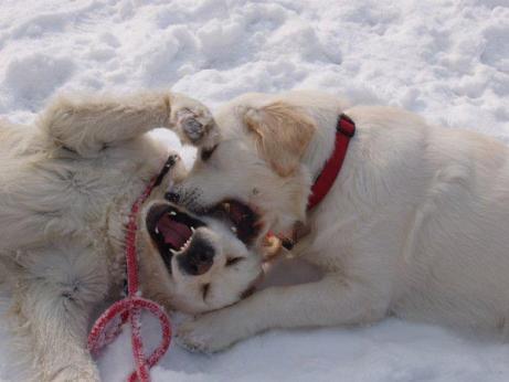 78d391c5107b5ee885f833c3bf3ae171_461