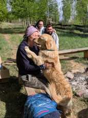 78e9b4b68c8cc290fd5206a32ab8313c_172x230