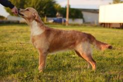 78f4aac5c1f5374f8d7b1edb89436c37_245