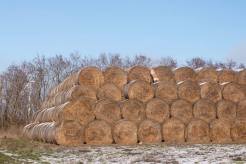 790fdbf2688fda42960a38090020266f_246x164_fill