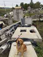 792a40396e4a3c8b4c61c0ce88e5dd97_138x184_fill