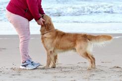 796448e41132e151820c901c1d635df9_246