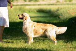 797387c1213fa861d03293e30d9ed281_246x164_fill