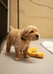 798a13ae15edf1c548b358a68bab4f92_170x237