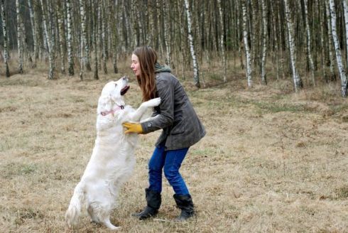 798a6532f9a31a02873674bcca0e778c_490