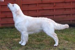 799713ea4e56a6470c6472b2d79694a4_245