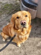 79cf2c77eba0b5a811b0fef3db0b2135_138x184_fill