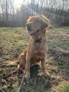 79d243c2cec7f7711b98c8e25de3df86_138x184_fill