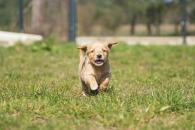 79e61ef8f78002a674e996245dc1a2fa_195x130_fill