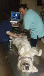 7a13da493adb792989278452f834137b_152x264