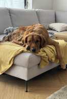 7a43a7deadcdf0dbcbf9aec5d4e6a802_132x193