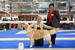 7a48acc5181ec18063b41d7f4a6256c6_246