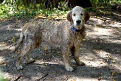 7a9c6e8bdb4ab73140a73f8981865f96_246x164_fill