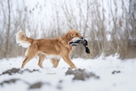 7a9fd787aad7a31868bf3984deaada2d_195