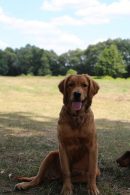 7ac5e81d2a084dd7658ba90fe861b752_130x195_fill