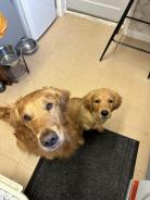 7b0dec626e09a8112740e0c650bfdeba_138x184_fill