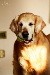 7b7f4762d2b2b7e06ae7c4447718a95b_164x246