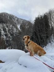 7ba8cc979e23c1f990f6e3a7558a86ed_174x232_fill