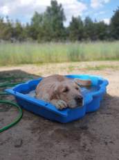 7bac70172a7a8805ba7529def5cade56_172x230