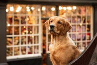 7c0e8a76300990ac26cacc99a48c30cd_195