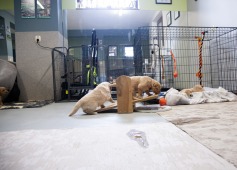 7c16ff3ce74f906832584993a9f9ed1f_237