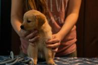 7cc26e926be22032cc14ef8d39f0de90_194