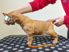 7cde8a5622a3f3bbe620f8cd07b61c78_231