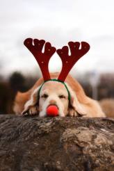 7d39539239affd586f4225a2a4d0f5b3_164x246_fill