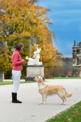 7d465adb9dac8057969754e89476c30a_164x246_fill