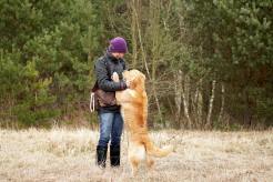 7d4e0616de0d04446468ef95b7a892e5_246