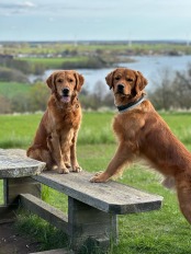 7e1a19347cb291155ca5fe2272fa9eba_174x232