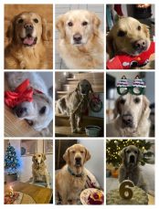 7e74d11f9ee45cc03336b89639ecfe29_174x229