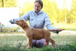 7eb7759f61d7762e1408a430e5eb4e66_245