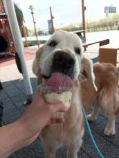 7ed4bfb42f21c980f25a69273c18a714_172x229