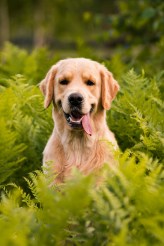 7f4850e711752d101c7399c6f4d494f2_164x246