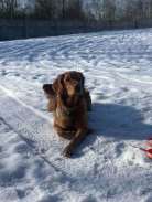 7f4e3ca64451cb0c8c828b02047dcea1_138x183