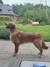 7fa4fe042c05cd5a95ec7dea88976625_172x232