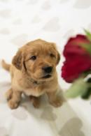 7fbf0bb5b79e03a2e2ba41ef7e6ed7d5_130x195_fill