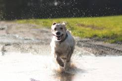 7fc0e58901077c4c7812246239d4e35a_246x164_fill