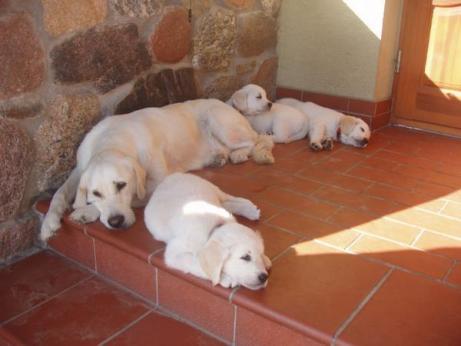 7fcfd5f5c12149196d9cf18d06b16b99_461