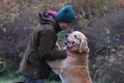 7ffac72f2827e0ae28358e84e1b444f3_246