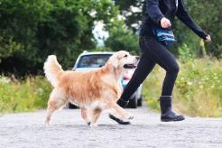 802c3332625180e7c33f1d52ffb81010_246