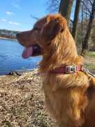 8033b72c2eb58c625891bc8eb809741a_138x184_fill