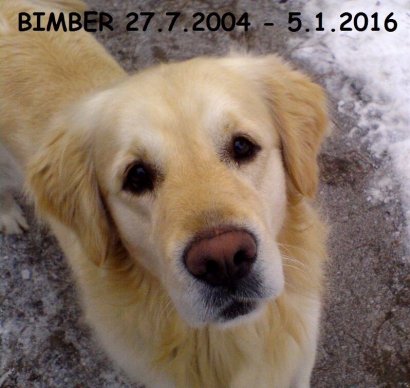 803d008170f556c94948d58f8dd40a2c_410