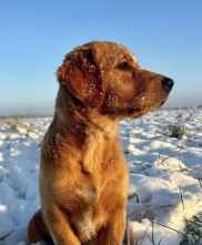 8049e48da14e597f222f8287e7965c2c_182x221