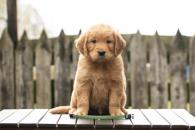 804ad39a936d4f4b4a1f6baed1d55ecc_195x130_fill