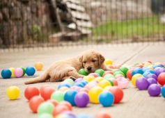 807080ab9fa84154aa18a9c14cbb7a4c_237