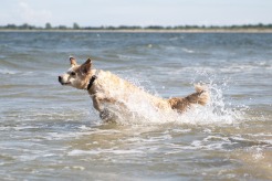 80a7c70eca61f833628a7cdafbecb285_246